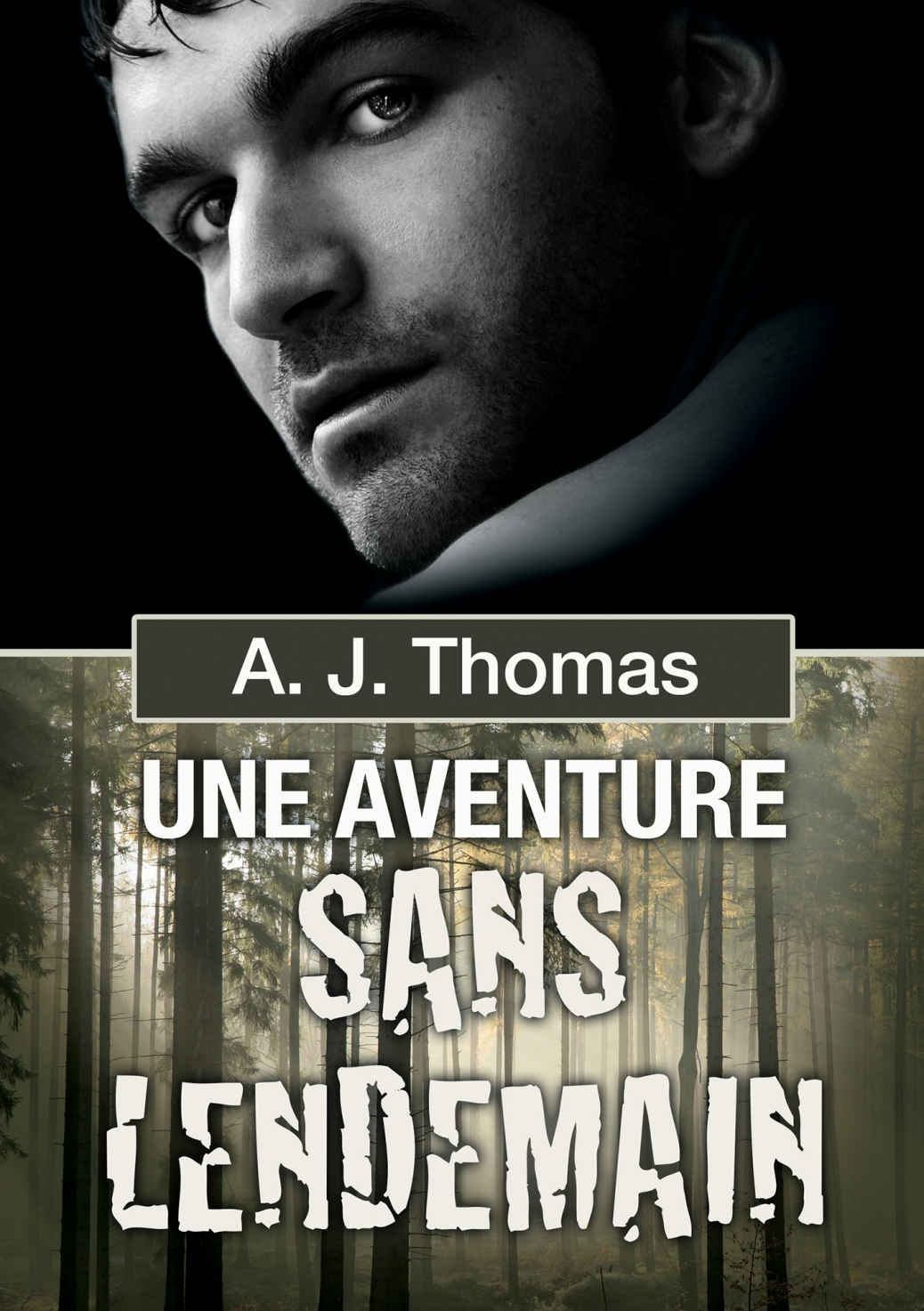 Une aventure sans lendemain