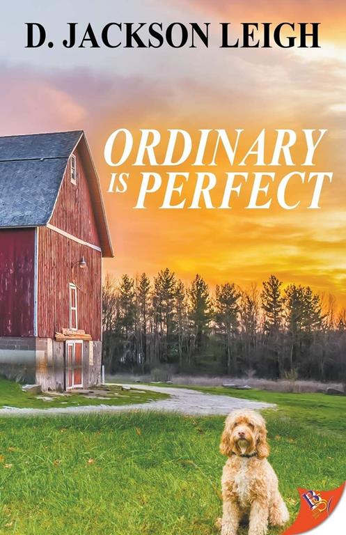 Ordinary is Perfect