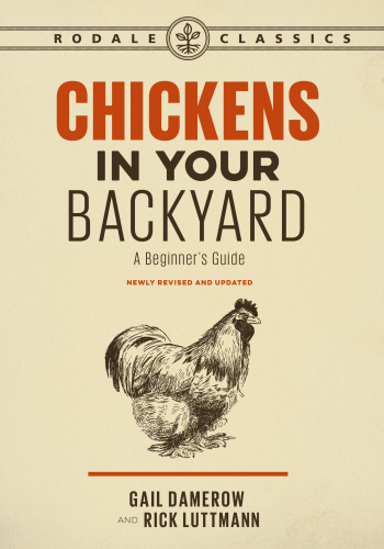 Chickens in Your Backyard