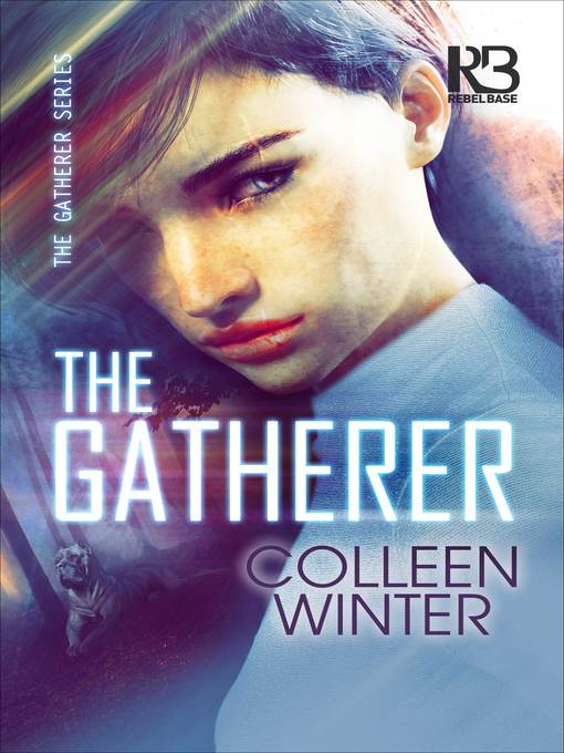 The Gatherer Series, Book 1