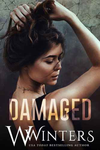 Damaged (Sins and Secrets Series of Duets)