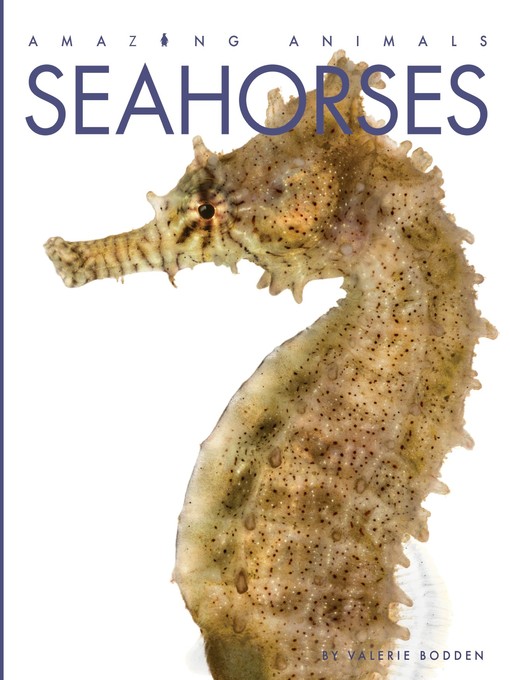 Seahorses