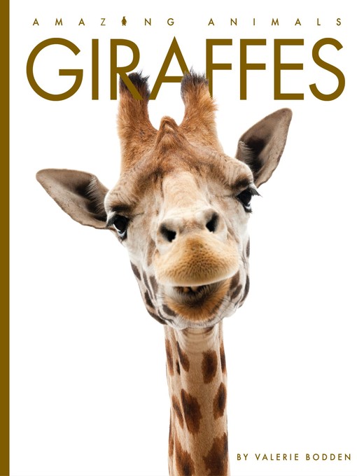 Giraffes