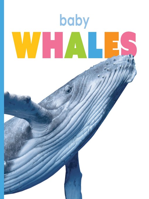 Baby Whales