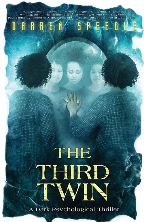 The Third Twin: A Dark Psychological Thriller