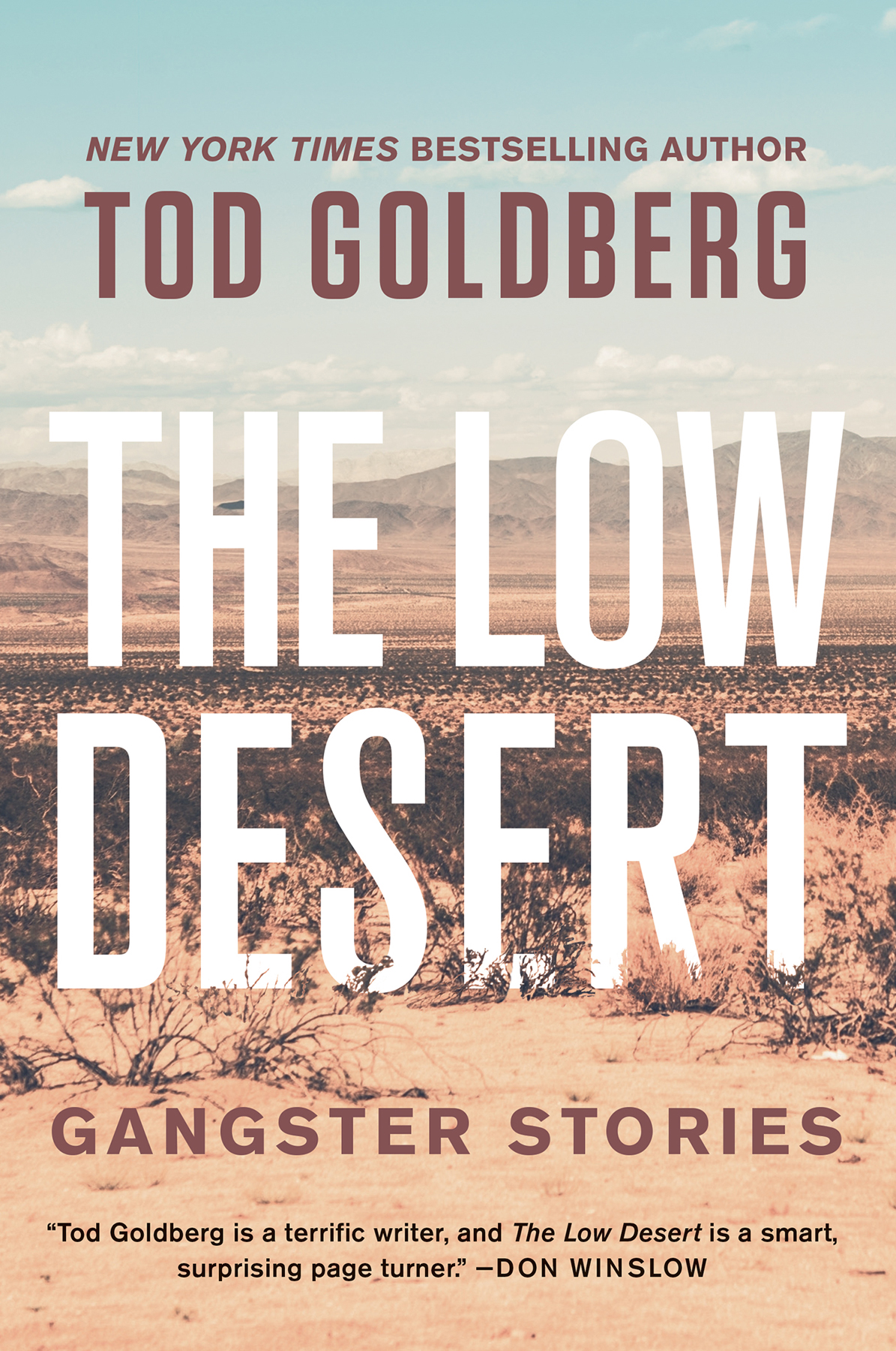 The Low Desert