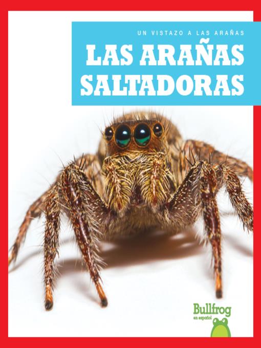 Las arañas saltadoras (Jumping Spiders)