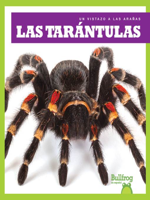 Las tarántulas (Tarantulas)