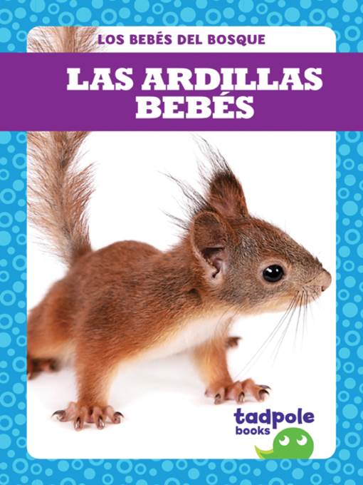 Las ardillas bebés (Squirrel Kits)