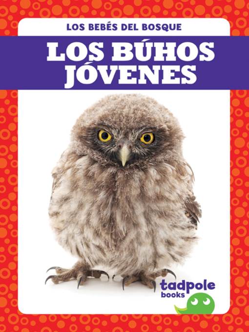 Los búhos jóvenes (Owlets)