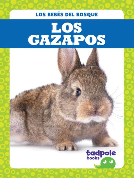 Los gazapos (Rabbit Kits)