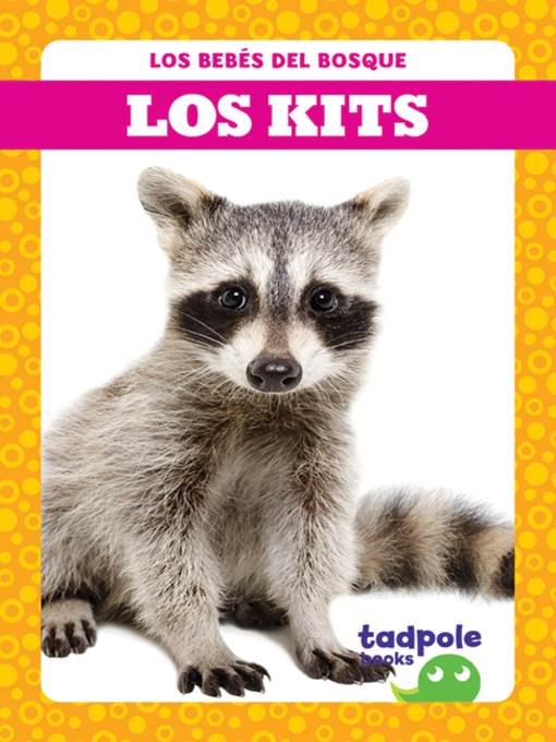 Los kits (Raccoon Cubs)