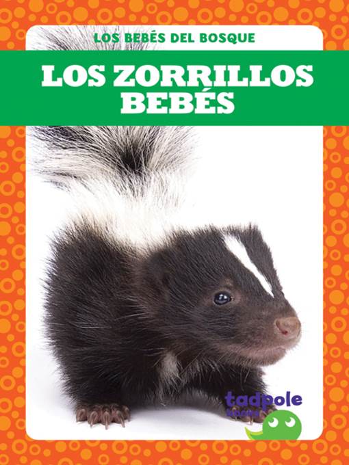 Los zorrillos bebés (Skunk Kits)