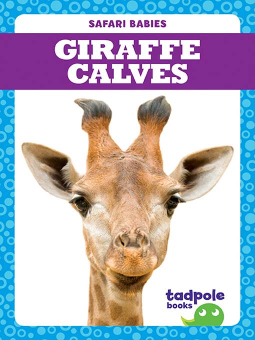 Giraffe Calves