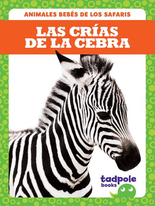 Las crías de la cebra (Zebra Foals)