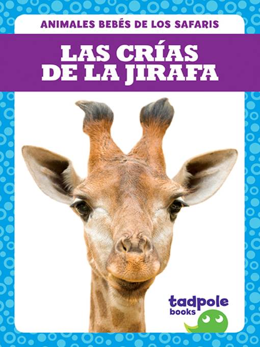 Las crías de la jirafa (Giraffe Calves)