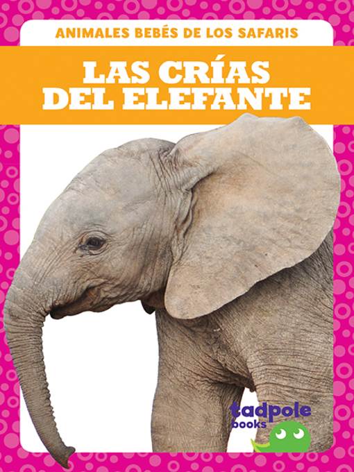 Las crías del elefante (Elephant Calves)