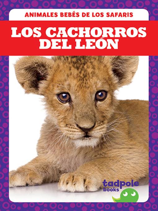 Los cachorros del león (Lion Cubs)