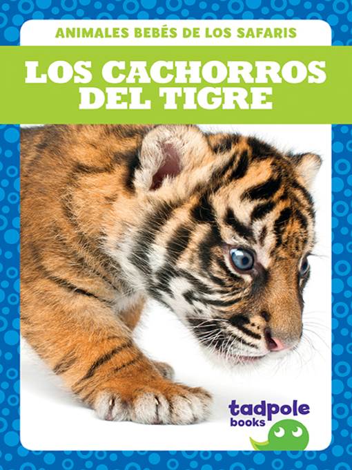 Los cachorros del tigre (Tiger Cubs)