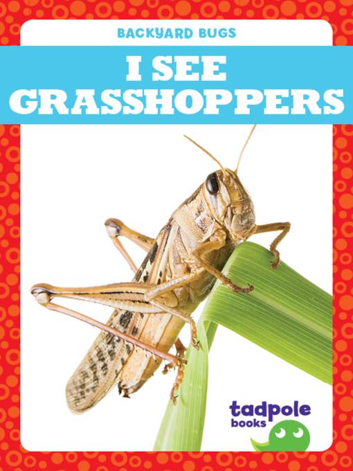 I See Grasshoppers