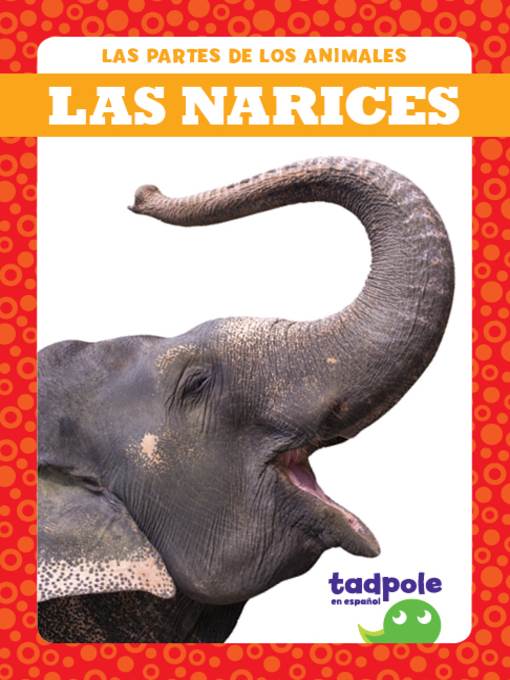 Las narices (Noses)