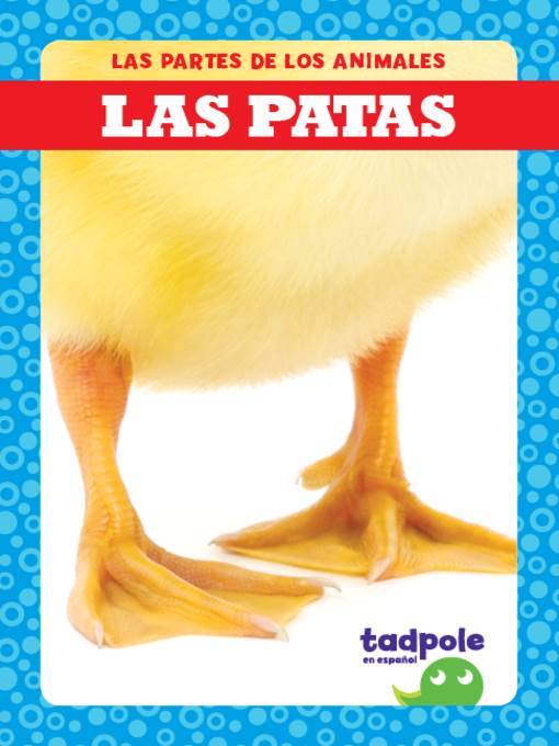 Las patas (Feet)