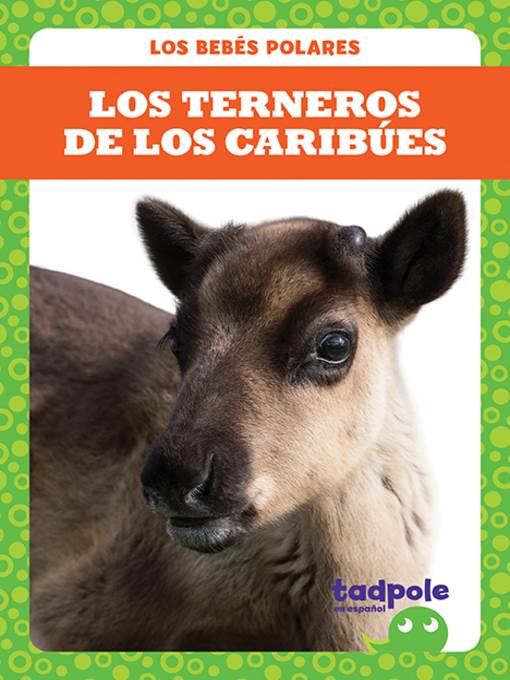 Los terneros de los caribúes (Caribou Calves)