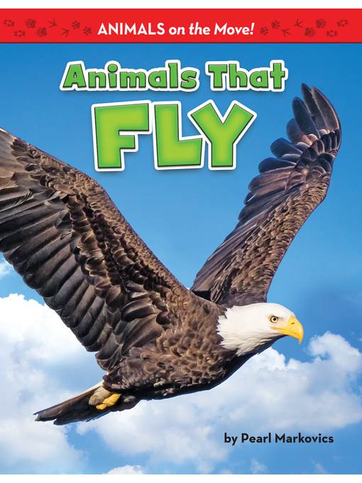 Animals That Fly