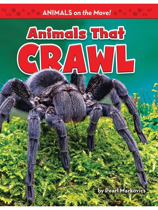 Animals That Crawl