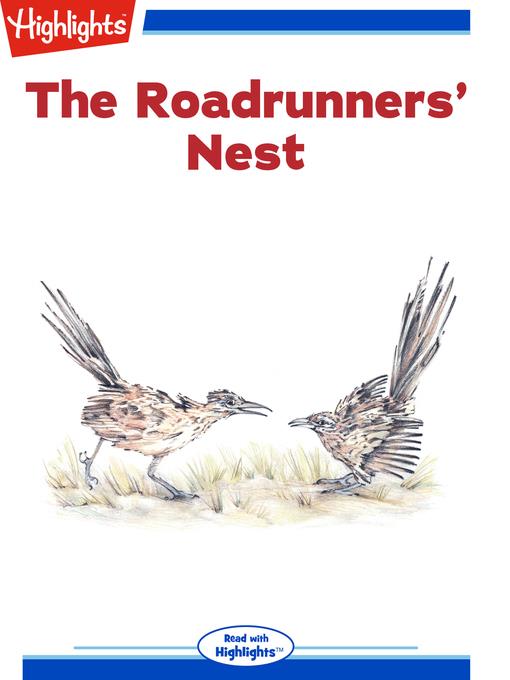 The Roadrunners' Nest