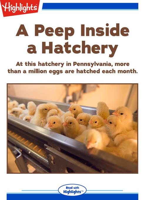 A Peep Inside a Hatchery