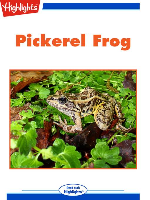 Nature Watch: Pickerel Frog; Spot the Imposter