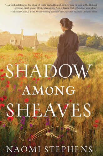 Shadow among Sheaves