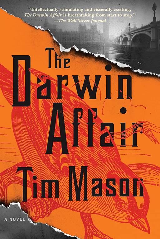 The Darwin Affair: A Novel