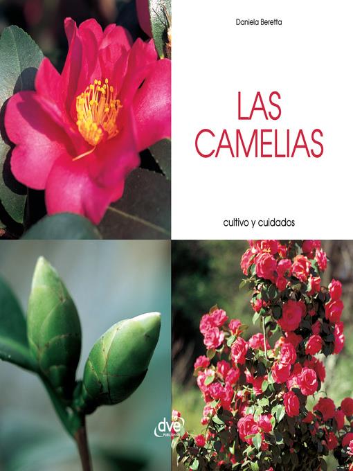 Las camelias--Cultivo y cuidados