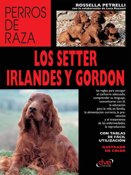 Los setter irlandés y gordon