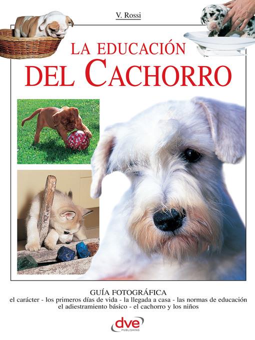 La educación del cachorro