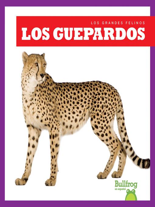 Los guepardos (Cheetahs)