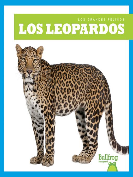 Los leopardos (Leopards)