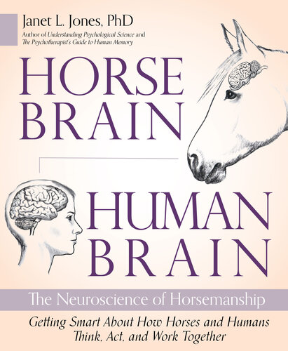 Horse Brain, Human Brain