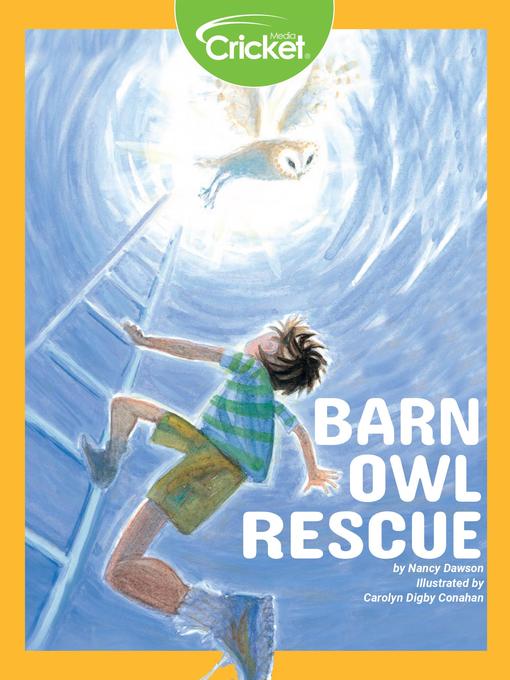 Barn Owl Rescue