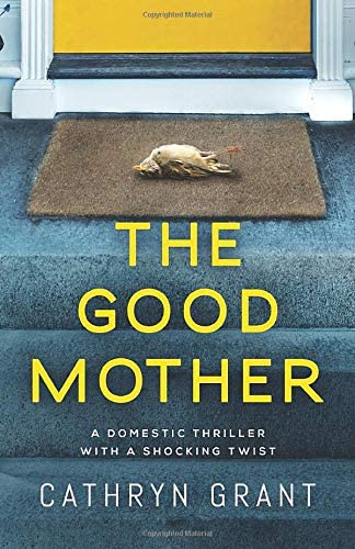 The Good Mother: A domestic thriller with a shocking twist