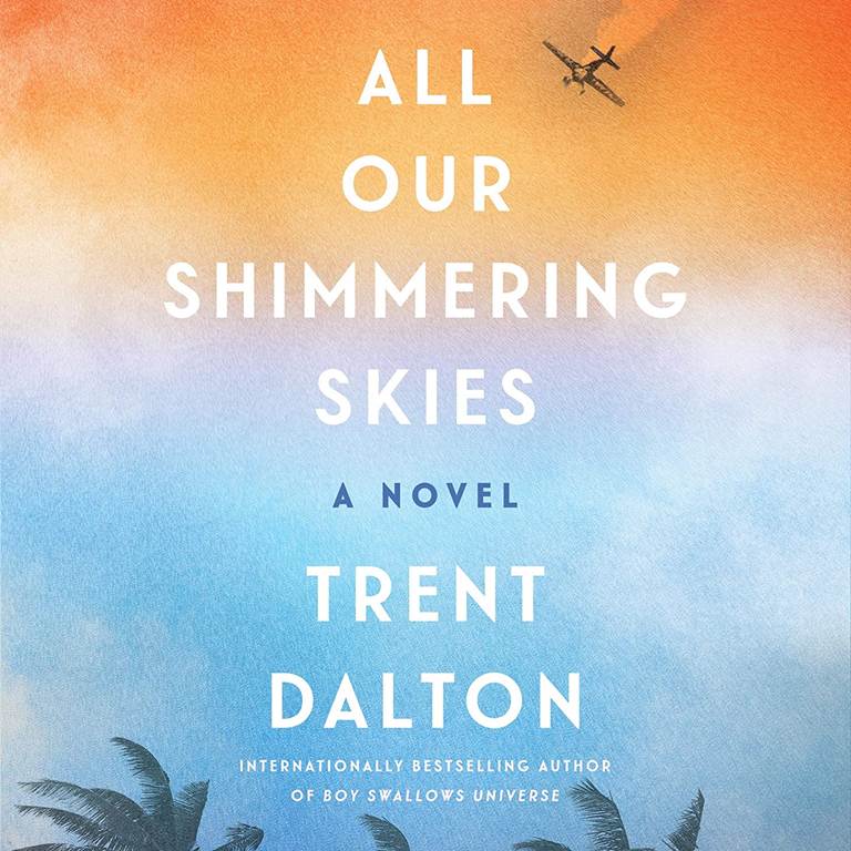 All Our Shimmering Skies: A Novel