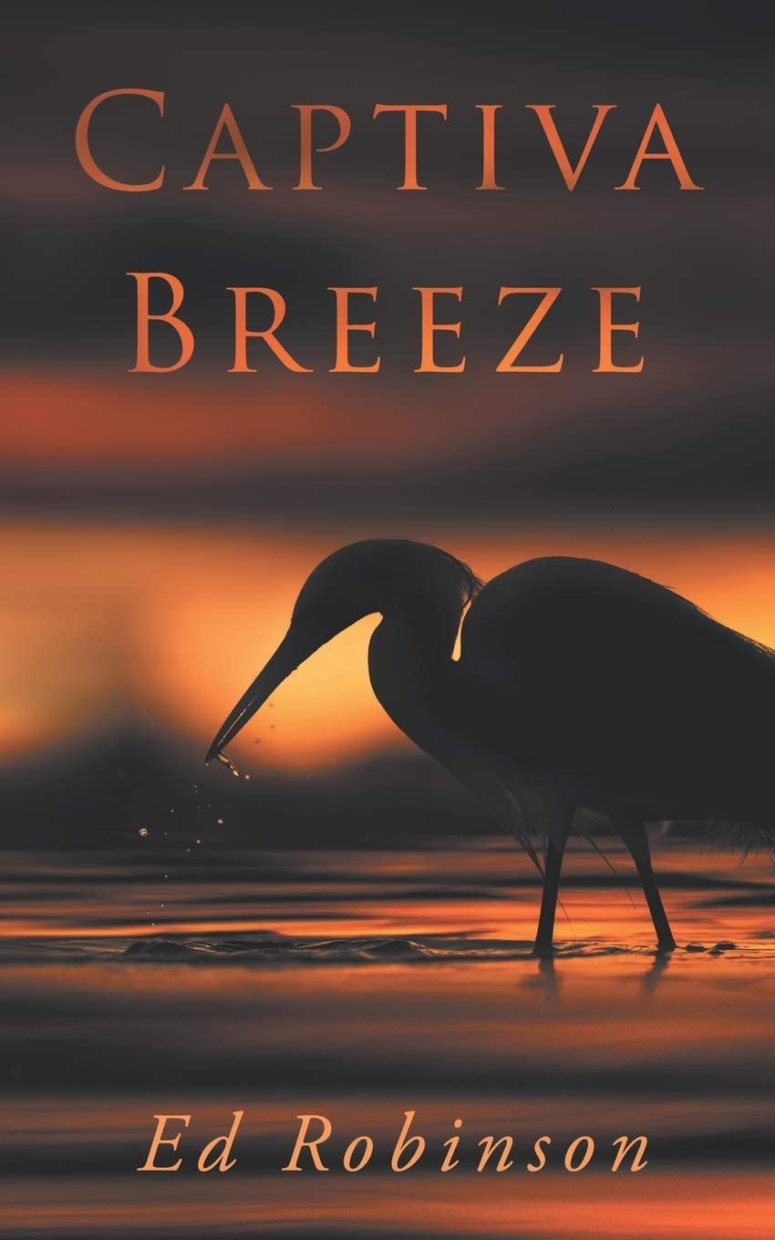 Captiva Breeze (Meade Breeze Adventure Series)