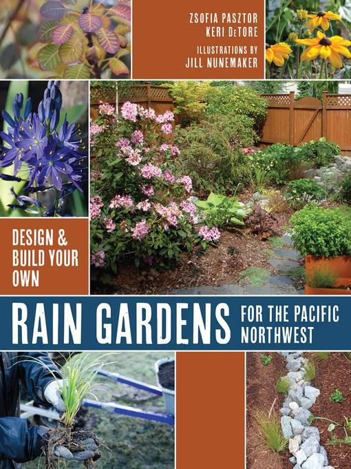 Rain Gardens For the Pacific Northwest