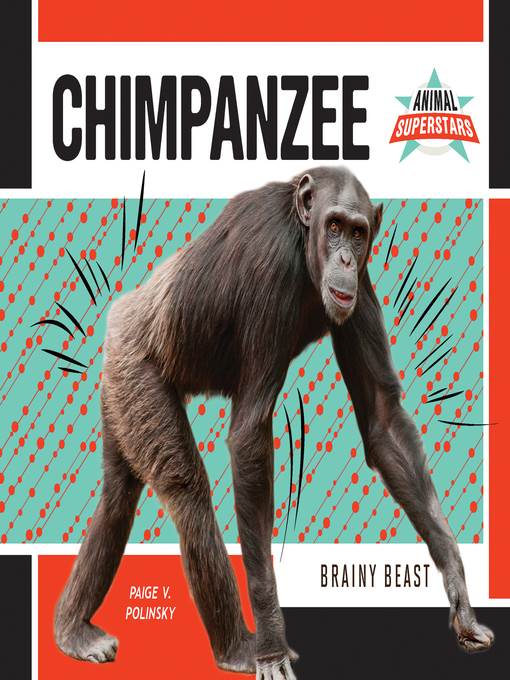 Chimpanzee: Brainy Beast