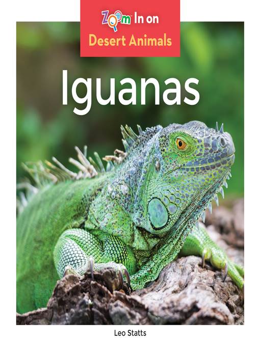 Iguanas