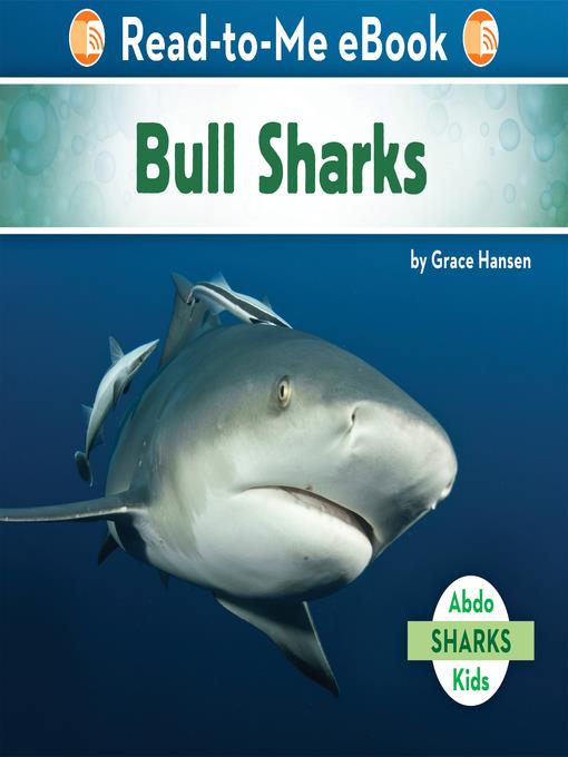 Bull Sharks