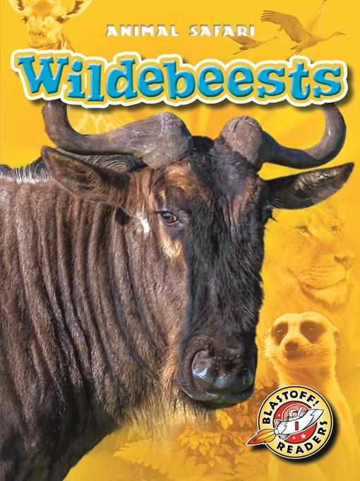 Wildebeests