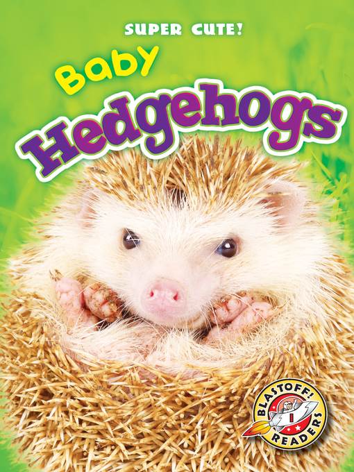 Baby Hedgehogs